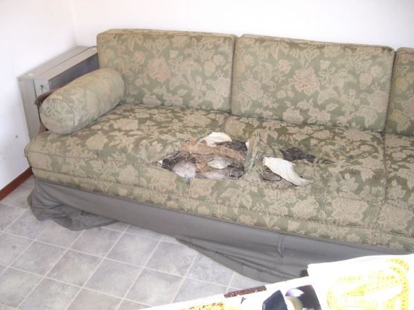 Couch vorher